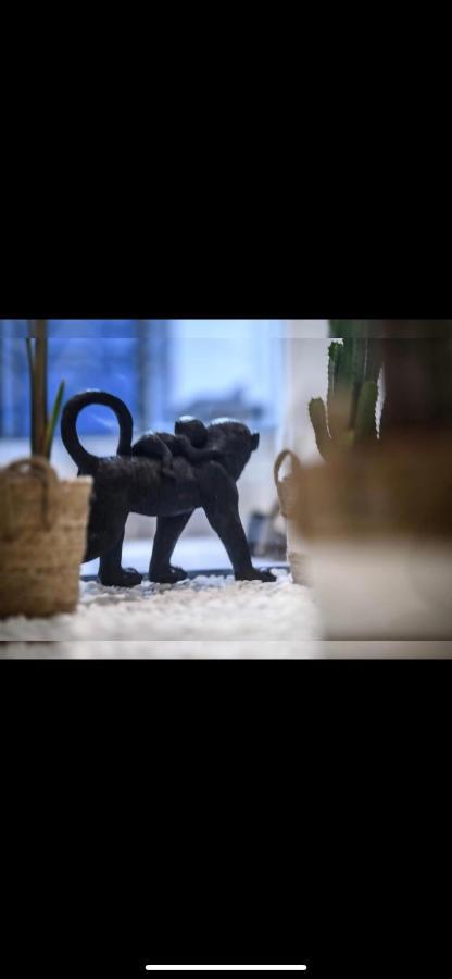 Le Boldieu- Duplex Beziers -Allee Paul Riquet- Wifi- Tv Connecte ภายนอก รูปภาพ