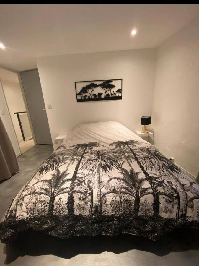 Le Boldieu- Duplex Beziers -Allee Paul Riquet- Wifi- Tv Connecte ภายนอก รูปภาพ